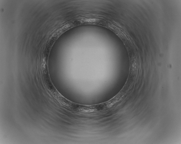 X0000083620555200703051612