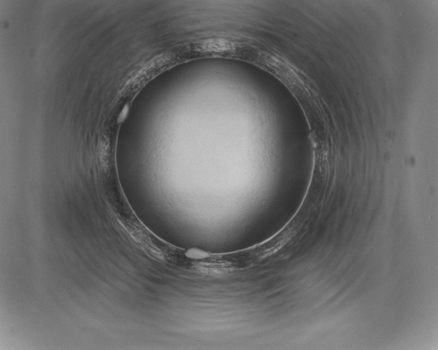 X0000083620556200703051612