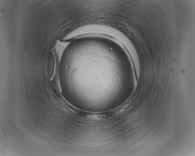 X0000083620558200703051612