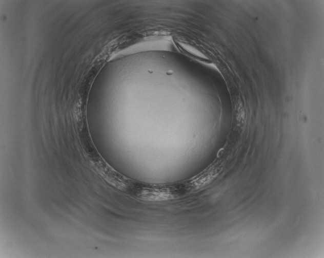 X0000083620559200703051612