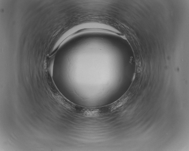 X0000083620560200703051612