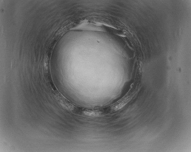 X0000083620561200703051612