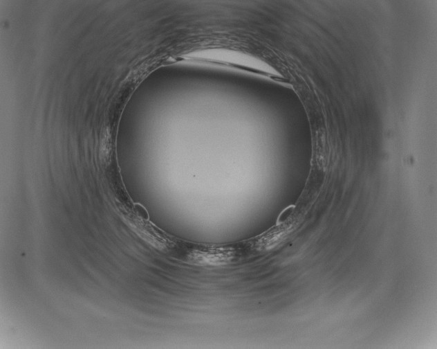 X0000083620563200703051612