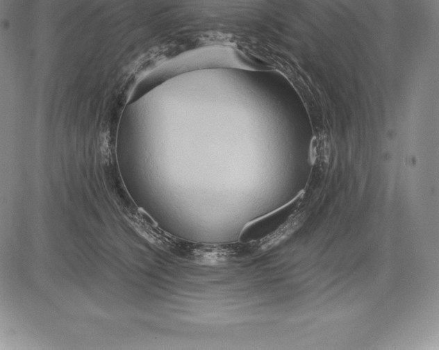 X0000083620564200703051612