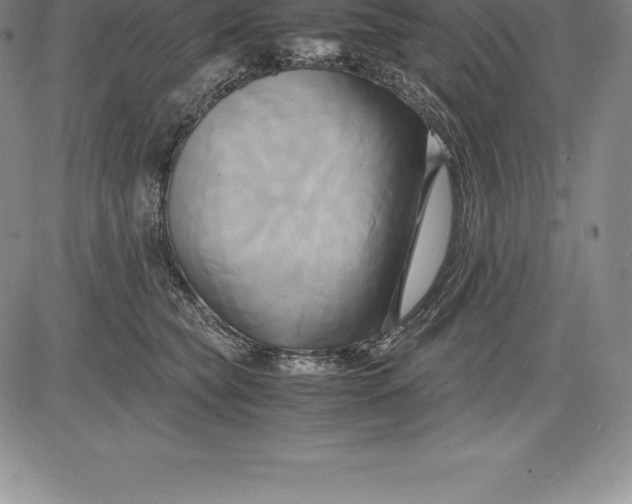 X0000083620565200703051612