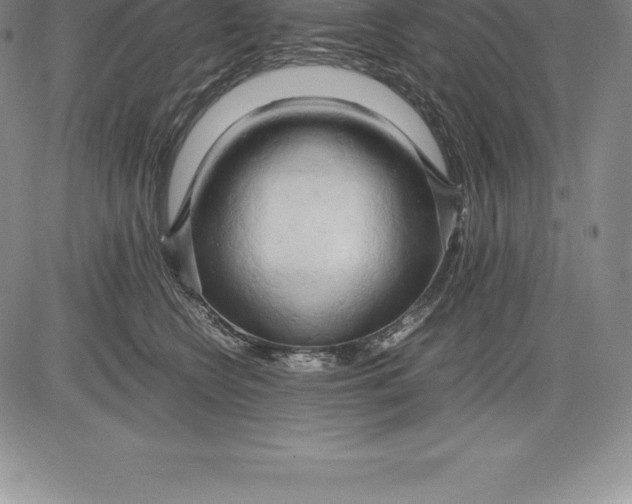 X0000083620566200703051612