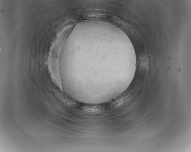 X0000083620567200703051612