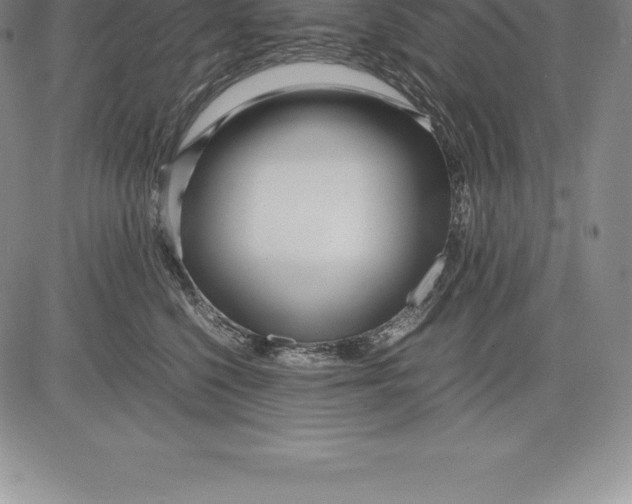 X0000083620568200703051612