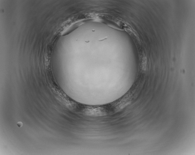 X0000083620569200703051612