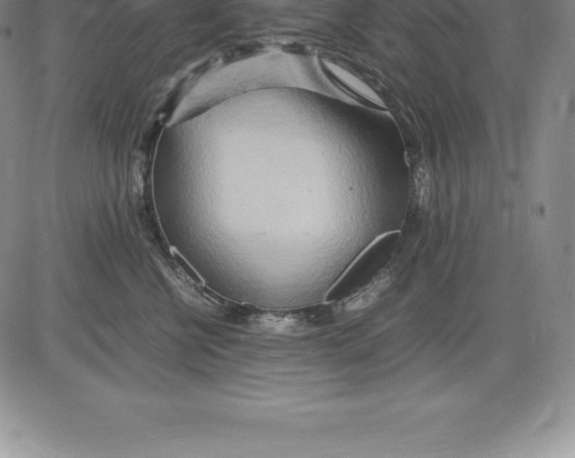 X0000083620570200703051612