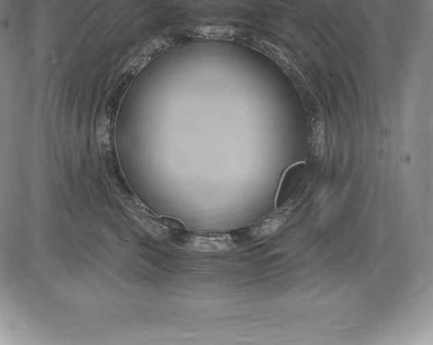 X0000083620571200703051612