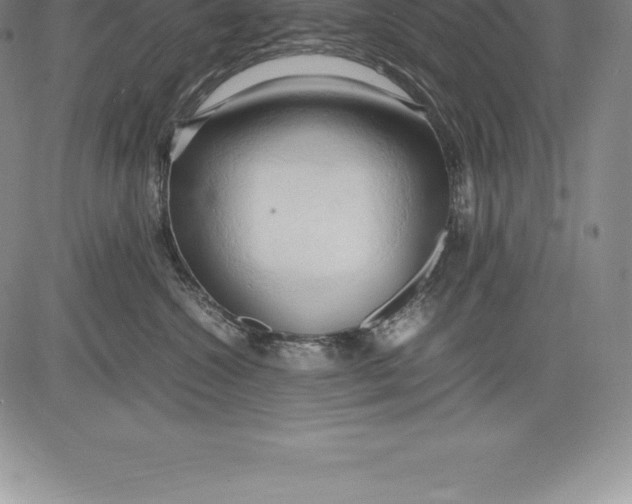 X0000083620572200703051612