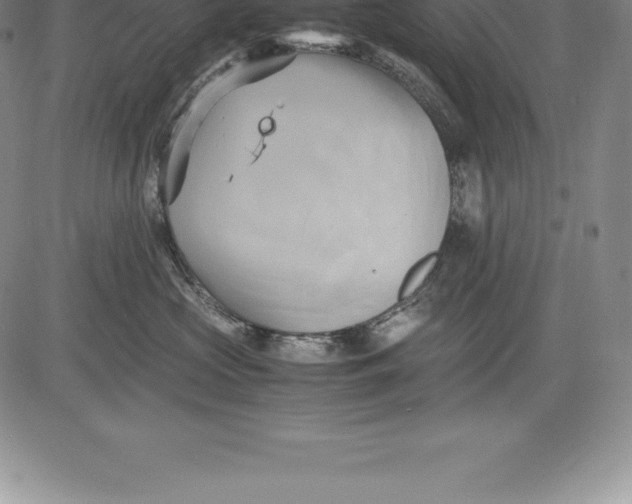 X0000083620573200703051612