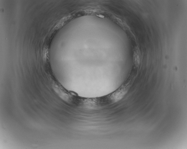 X0000083620574200703051612