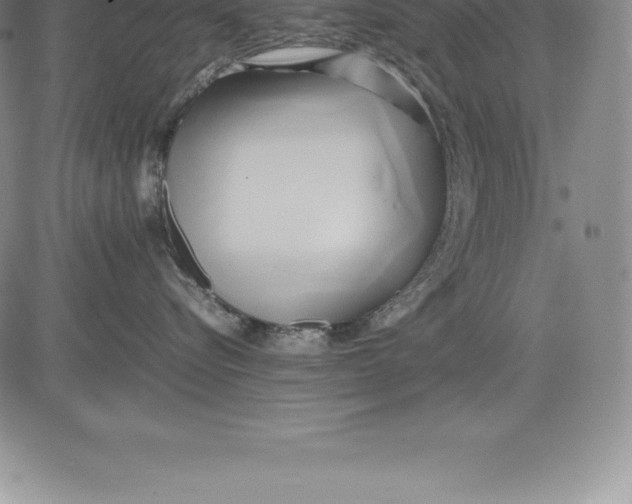 X0000083620576200703051612