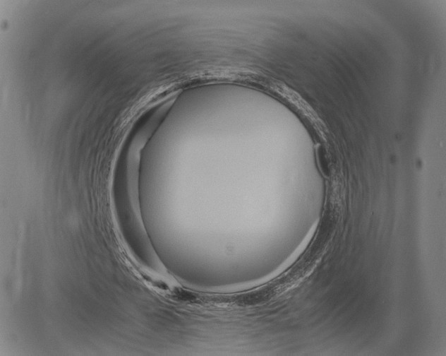 X0000083620577200703051611