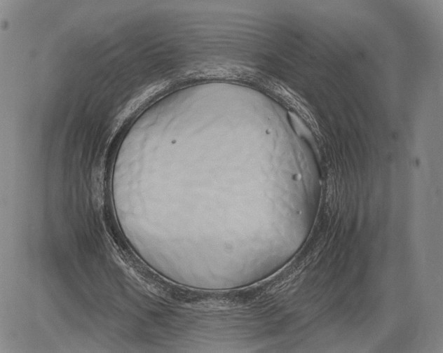 X0000083620578200703051611