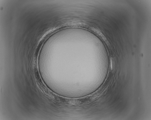 X0000083620579200703051611