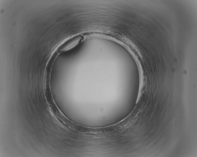 X0000083620580200703051611