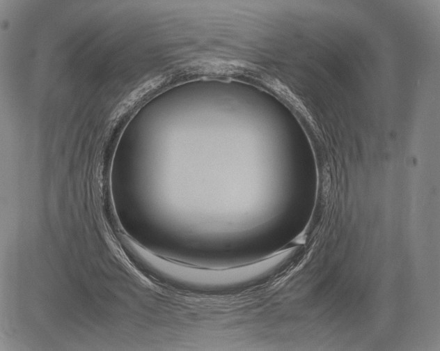 X0000083620581200703051611