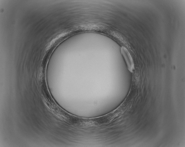 X0000083620583200703051611