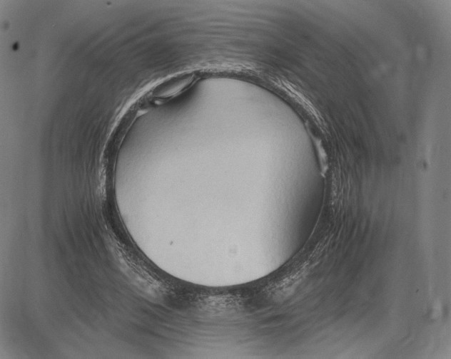 X0000083620584200703051611