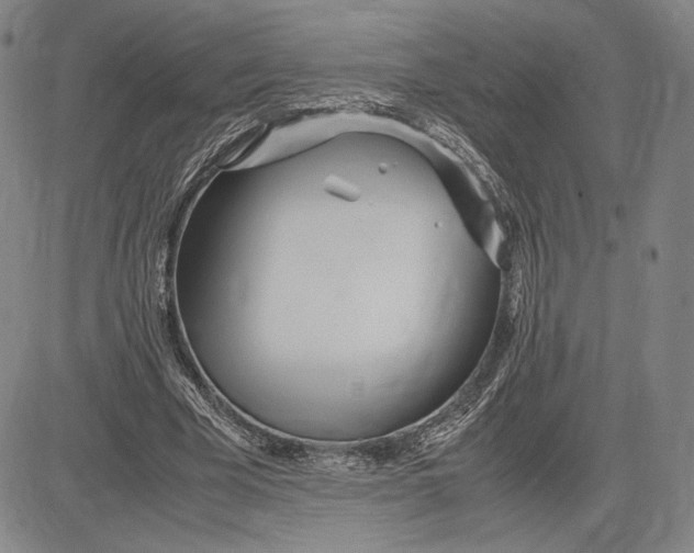 X0000083620585200703051611