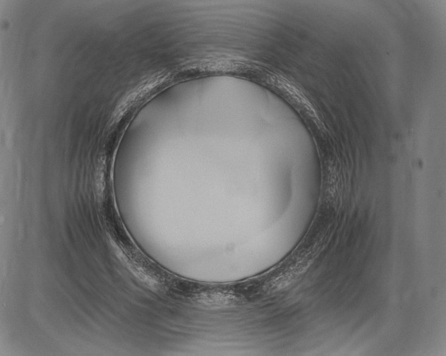 X0000083620586200703051611