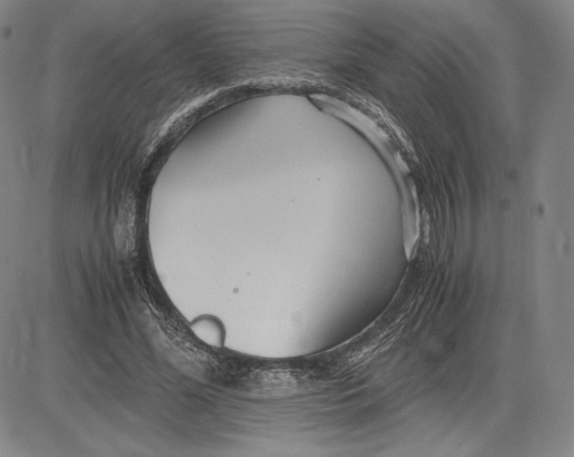 X0000083620588200703051611