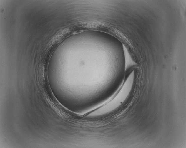 X0000083620589200703051611