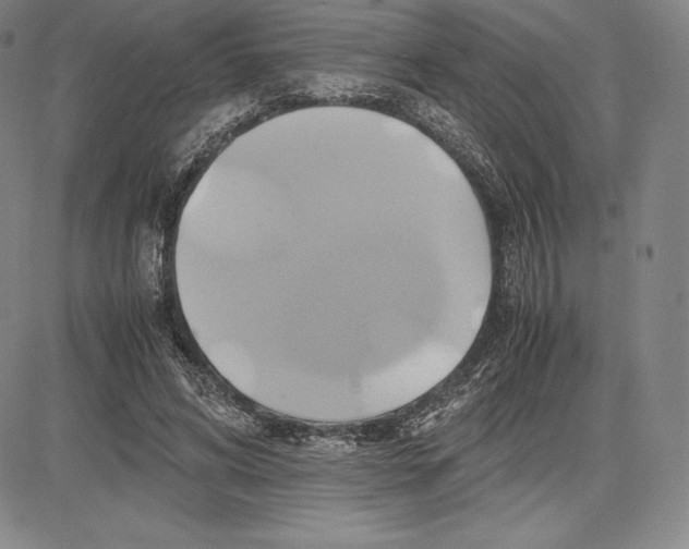 X0000083620592200703051611