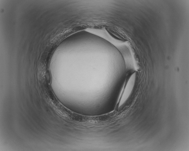 X0000083620593200703051611