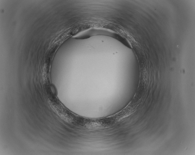 X0000083620594200703051611