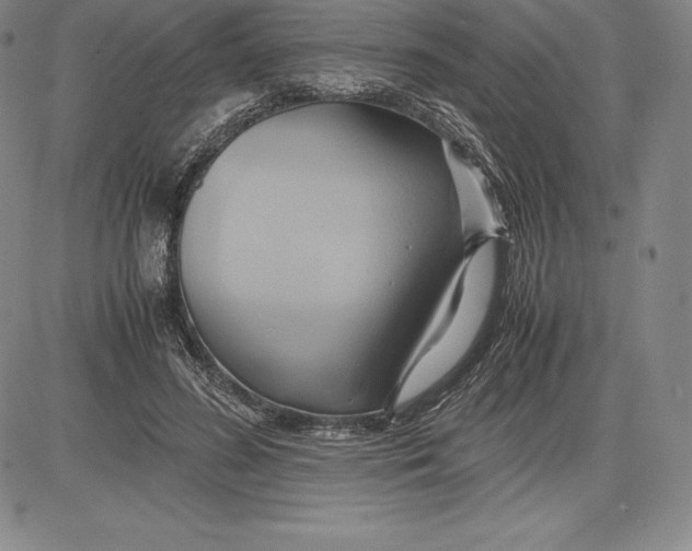 X0000083620596200703051611