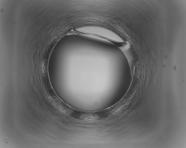 X0000083620597200703051611