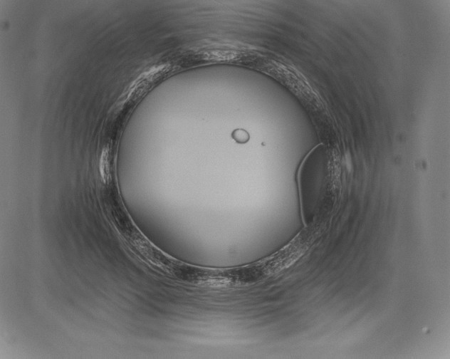 X0000083620598200703051611