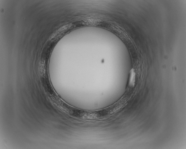 X0000083620599200703051611