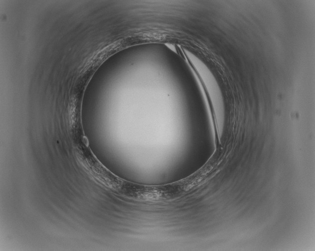 X0000083620600200703051611