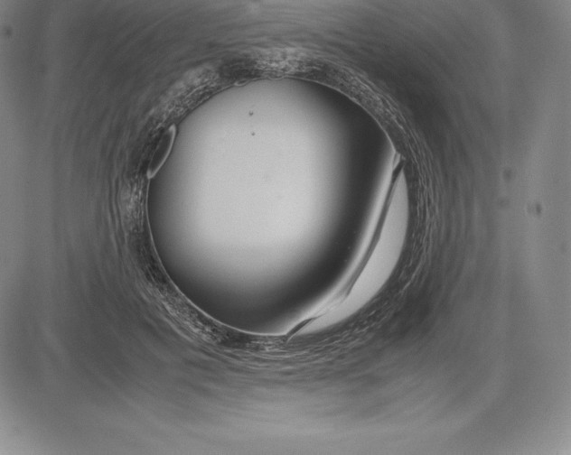 X0000083620601200703051611