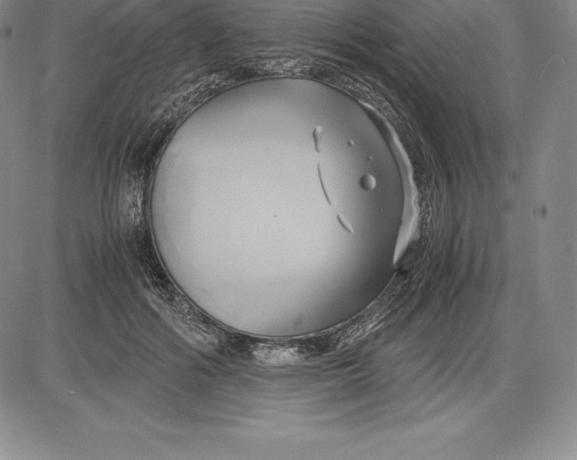 X0000083620602200703051611