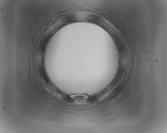 X0000083620603200703051611