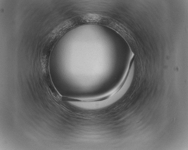 X0000083620604200703051611