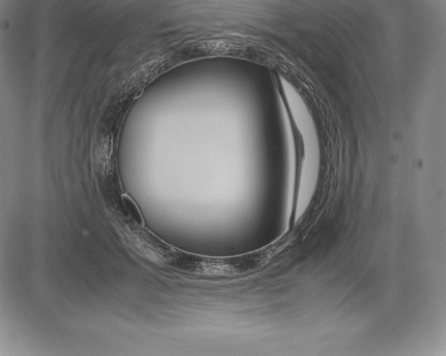 X0000083620605200703051611