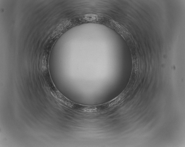 X0000083620606200703051611