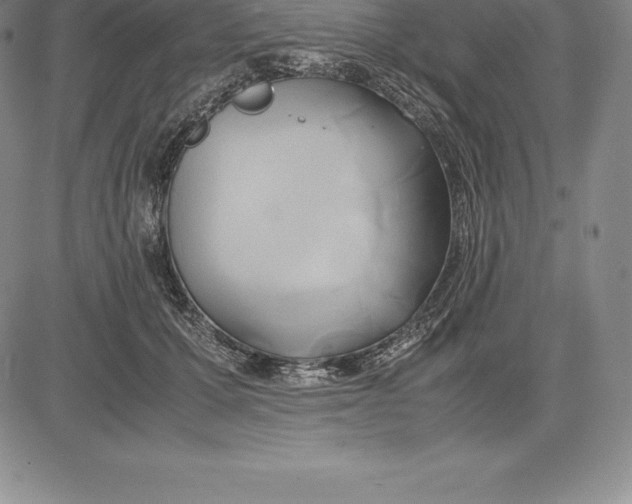 X0000083620607200703051611