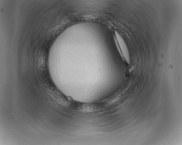 X0000083620608200703051611