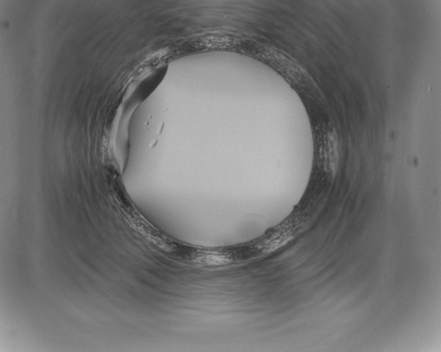 X0000083620610200703051611