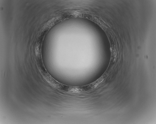 X0000083620611200703051611