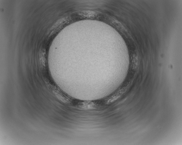 X0000083620612200703051611