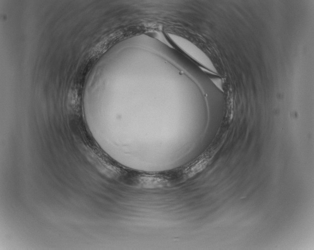 X0000083620614200703051611